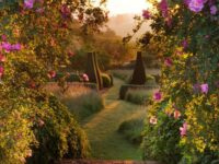 🖼️El Jardín del Alma: Explorando las Flores de la Conciencia 🌹