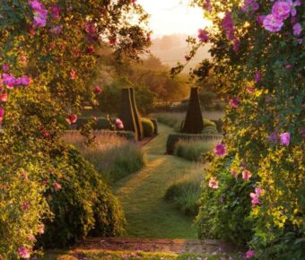 🖼️El Jardín del Alma: Explorando las Flores de la Conciencia 🌹